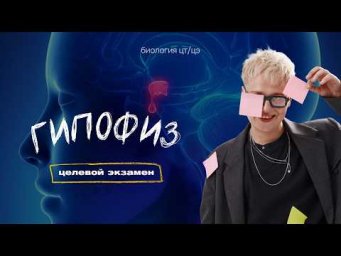ГИПОФИЗ | Целевой экзамен