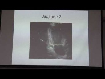 ЗЭ-2018, Анатомия, 9 класс