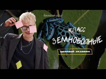 КЛАСС ЗЕМНОВОДНЫЕ (АМФИБИИ) | Целевой экзамен