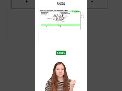 тгк: Марина Брейн #егэ2027 #егэбиология