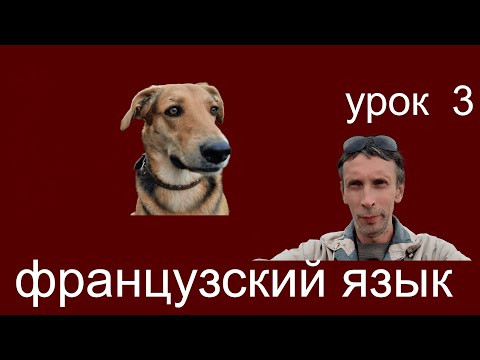 французский по книге Дмитрия Петрова ФРАНЦУЗСКИЙ ЯЗЫК 16 УРОКОВ БАЗОВЫЙ ТРЕНИНГ урок 3,