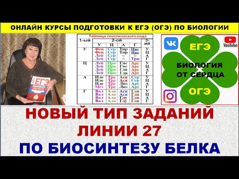 НОВЫЙ ТИП ЗАДАНИЙ ЛИНИИ 27 ПО БИОСИНТЕЗУ БЕЛКА