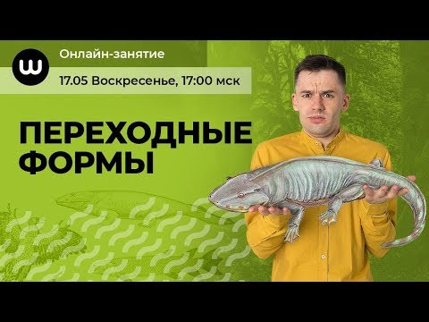 ПЕРЕХОДНЫЕ ФОРМЫ | Биология ЕГЭ 2020 | Даниил Дарвин ПЕРЕХОДНЫЕ ФОРМЫ | Биология ЕГЭ 2020 | Даниил Дарвин