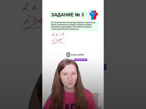 Как определить количество хромосом в задании №3? #биология #биологияегэ #егэ #егэ2026 #химбио Как определить количество хромосом в задании №3? #биология #биологияегэ #егэ #егэ2026 #химбио