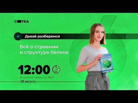 Всё о строении и структуре белков | ЕГЭ БИОЛОГИЯ 2021 | Онлайн-школа СОТКА
