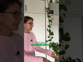 Что значит НА ВСЯКИЙ СЛУЧАЙ?