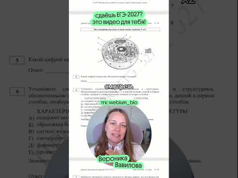 полезные материалы в тгк @webium_bio #биология #егэ #егэбиология #вебиум
