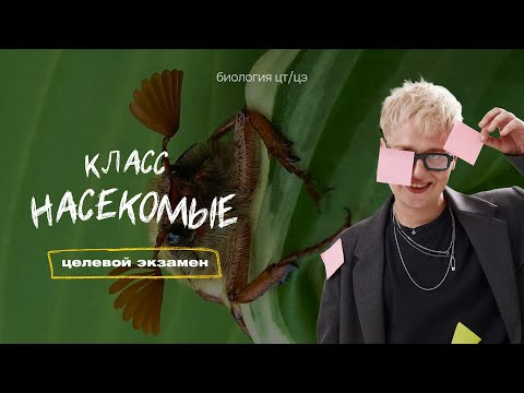 КЛАСС НАСЕКОМЫЕ. МАЙСКИЙ ЖУК | Целевой экзамен
