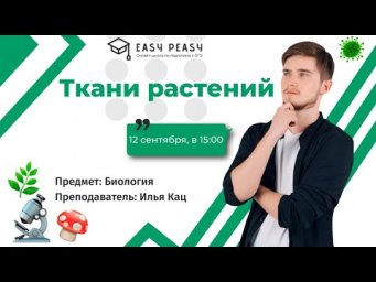 Ткани растений | Илья Кац | Онлайн-школа EASY PEASY | ОГЭ биология
