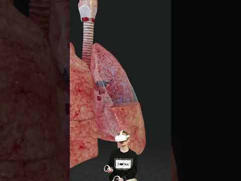 Астма в VR