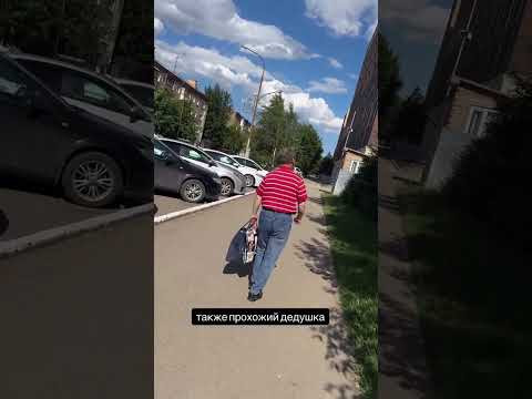 Где вы учились, он преподавал Где вы учились, он преподавал