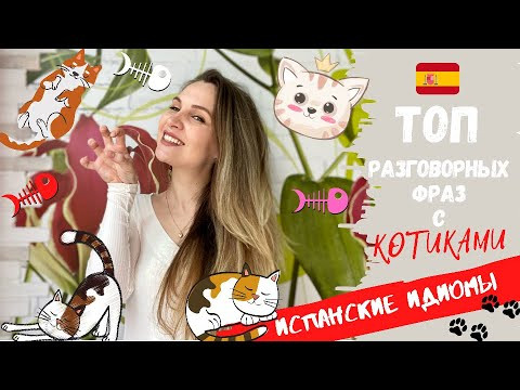 ТОП разговорных испанских выражений с КОТИКАМИ | Как общаться как НОСИТЕЛЬ | ИДИОМЫ | Espa&ntilde;ol