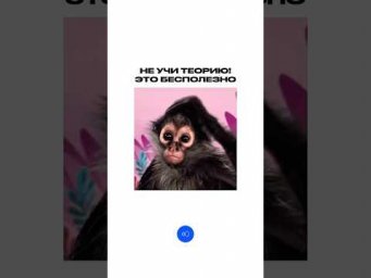 НЕ УЧИ ТЕОРИЮ #обществознание #егэ #сотка #обществознаниеегэ