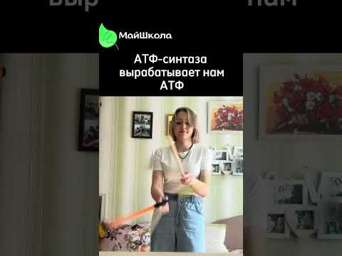 Подробнее об АТФ-синтазе по ссылке в шапке профиля #егэ #биология #егэ2025