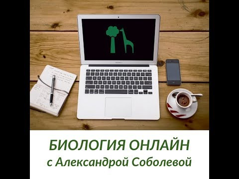 Кто такой Мендель и при чём тут Горох? Кто такой Мендель и при чём тут Горох?