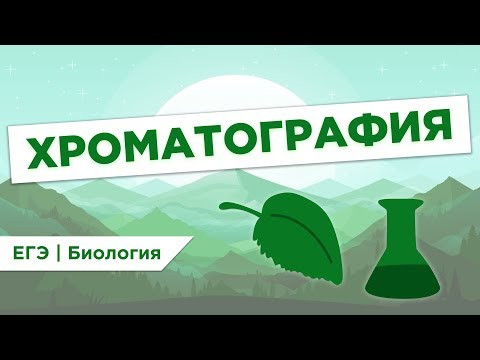 Что такое ХРОМАТОГРАФИЯ l ЕГЭ Биология | Даниил Дарвин