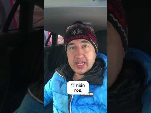Год Тигра Год Тигра
