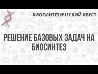Биосинтетический Квест | Решение базовых задач на биосинтез
