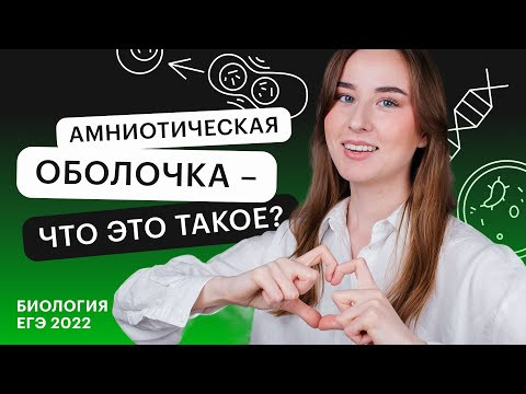 Амниотическая оболочка - что это такое? | Биология ЕГЭ с Альбиной Амировой