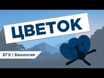 Что такое ЦВЕТОК l ЕГЭ Биология | Даниил Дарвин