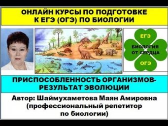 ПРИСПОСОБЛЕННОСТЬ ОРГАНИЗМОВ-РЕЗУЛЬТАТ ЭВОЛЮЦИИ