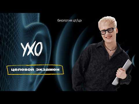 СЕНСОРНЫЕ СИСТЕМЫ. УХО | Целевой экзамен СЕНСОРНЫЕ СИСТЕМЫ. УХО | Целевой экзамен