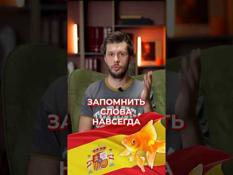 Вы забываете слова? Вот как запомнить слова на всю жизнь! Вы забываете слова? Вот как запомнить слова на всю жизнь!