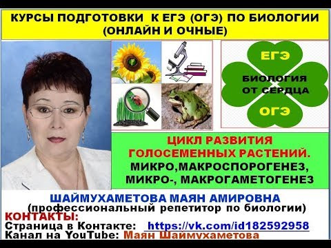 ЦИКЛ РАЗВИТИЯ ГОЛОСЕМЕННЫХ РАСТЕНИЙ. МИКРО- И МАКРОСПОРОГЕНЕЗ. МИКРО-, МАКРОГАМЕТОГЕНЕЗ