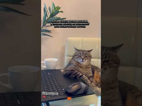 хорошо, когда твои шутки понимают #егэхимия #химияегэ