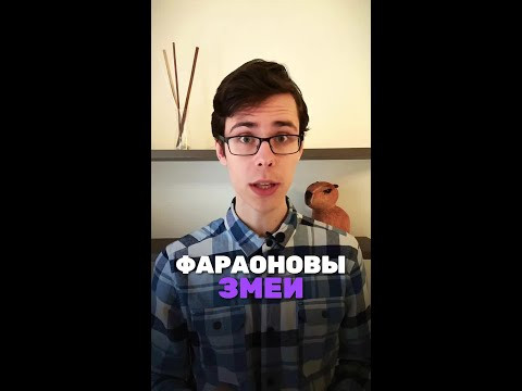 А что ты знаешь об опыте "Фараоновы змеи?"