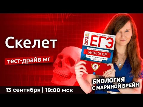 СКЕЛЕТ | Тест-драйв мастер-группы лайт. День 3
