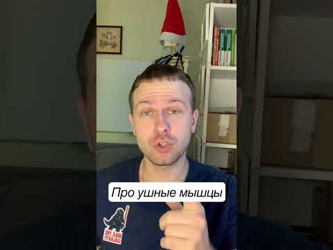 Ушные мышцы человека-рудименты? Ушные мышцы человека-рудименты?