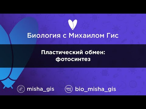 Пластический обмен: фотосинтез | ЕГЭ ОГЭ Биология с Михаилом Гис