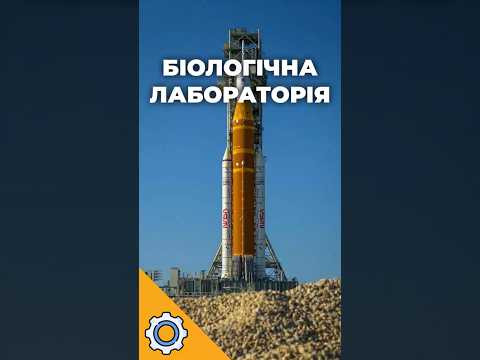 Artemis 2: Чому астронавти NASA стали піддослідними?
