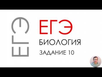 ЕГЭ биология 2020 Задание 10 Рохлов разбор