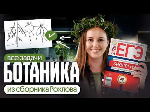 ВСЕ ЗАДАЧИ И РИСУНКИ ПО БОТАНИКЕ из сборника РОХЛОВА 2026 | ЕГЭ по биологии 2026 | Вероника Вавилова