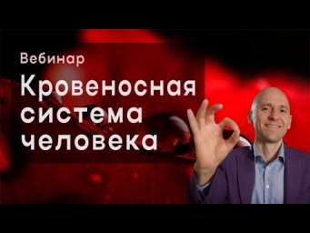 Кровеносная система: анализируем важнейшие задания ЕГЭ по биологии