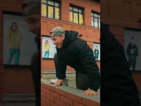 Медведь в центре города?! Медведь в центре города?!