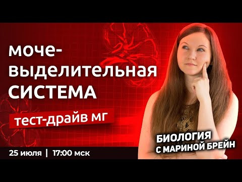 Мочевыделительная система ЕГЭ | Пробная неделя мастер-группы с Мариной Брейн Мочевыделительная система ЕГЭ | Пробная неделя мастер-группы с Мариной Брейн
