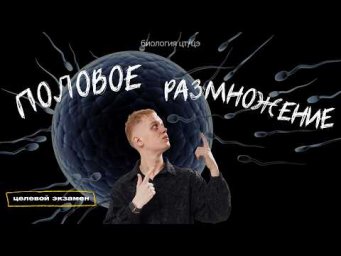 ПОЛОВОЕ РАЗМНОЖЕНИЕ И ПОЛОВОЙ ПРОЦЕСС | Целевой экзамен