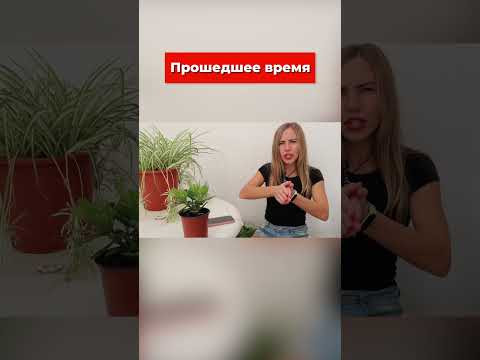 Испанский глагол TENER в трех временах.