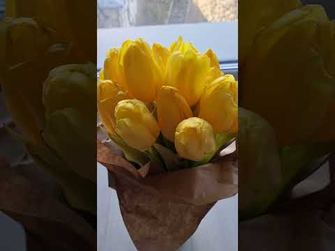 З першим днем весни!  ♡ &iexcl;Hola, primavera!