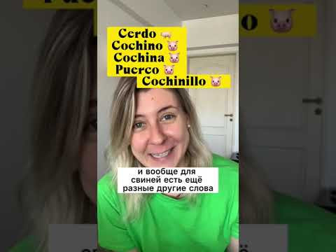 важно знать ПРО испанский язык. Синонимы: СВИНЬЯ, ПОБЕЖДАТЬ, МАШИНА и ВАГОН. Полная версия