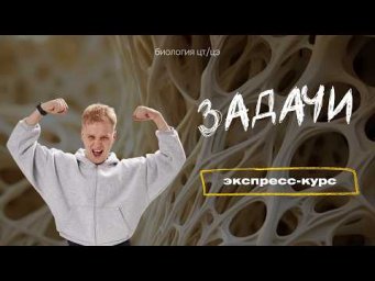 Май | Занятие 8 | Практика по задачам
