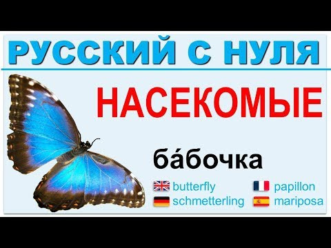 Русский язык с нуля. Насекомые. РКИ для всех. Русский язык с нуля. Насекомые. РКИ для всех.