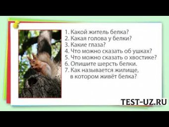 Что такое текстописание