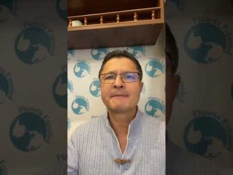 Испанский язык для начинающих: почему Mitsubishi Pajero - это не то, что вы думаете!