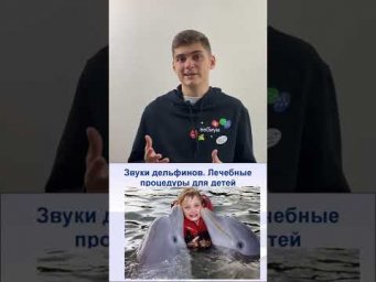 Почему дельфины спасают людей?