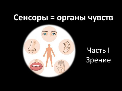 22. Сенсоры часть I (8 класс) - биология, подготовка к ЕГЭ и ОГЭ 2020 22. Сенсоры часть I (8 класс) - биология, подготовка к ЕГЭ и ОГЭ 2020