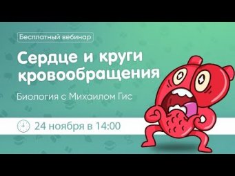 Сердце и круги кровообращения ОГЭ|ЕГЭ БИОЛОГИЯ